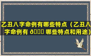 乙丑八字命例有哪些特点（乙丑八字命例有 🐛 哪些特点和用途）